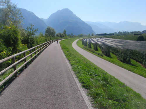Paralleling an Apfel Orchard, South of Bozen/Bolzano.